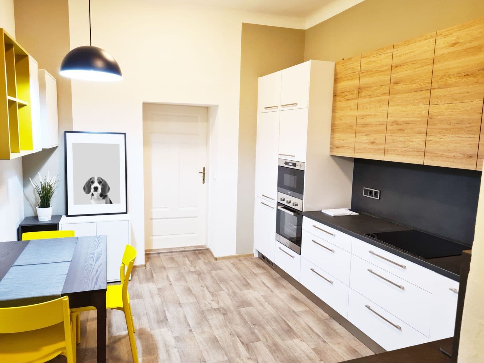 Prenájom bytu 1-izbový 36 m², Palackého třída, Brno, Jihomoravský kraj Prenájom bytu 1-izbový 36 m², Palackého třída, Brno, Jihomoravský kraj