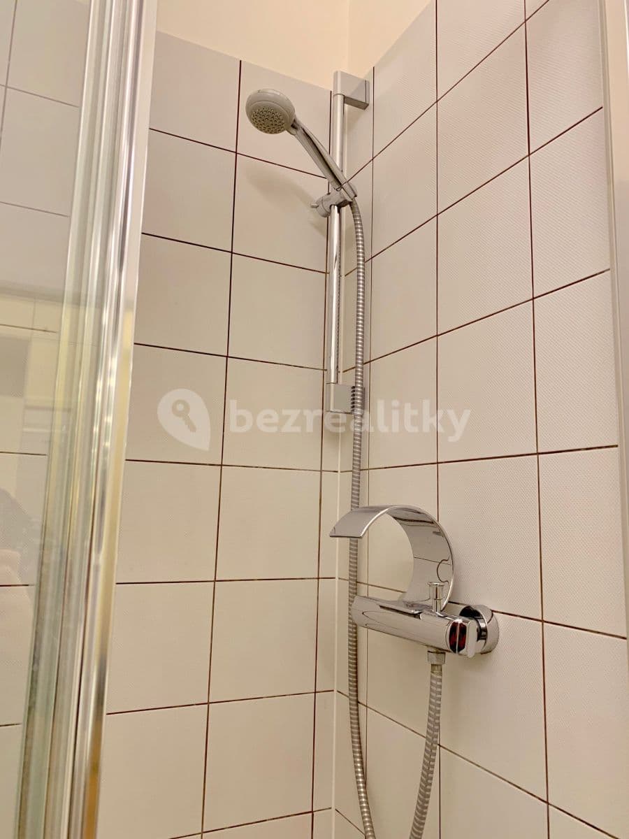 Prenájom bytu 1-izbový 20 m², Plavecká, Praha, Praha Prenájom bytu 1-izbový 20 m², Plavecká, Praha, Praha