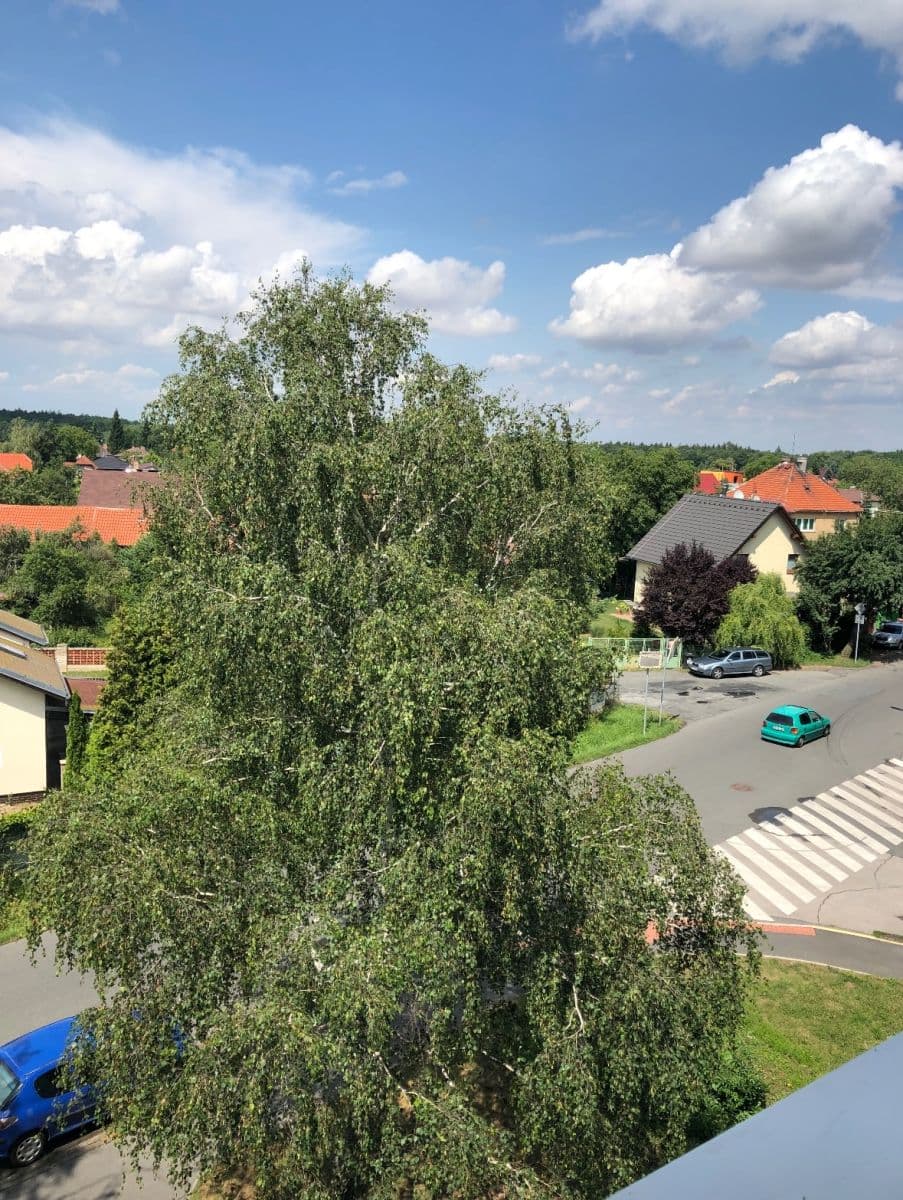 Prenájom bytu 1-izbový 31 m², Rohožnická, Praha, Praha Prenájom bytu 1-izbový 31 m², Rohožnická, Praha, Praha