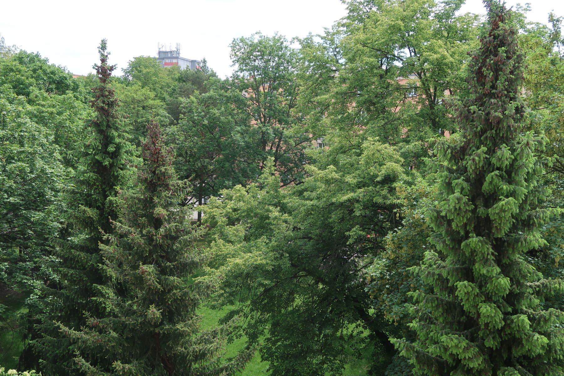 Prenájom bytu 2-izbový 54 m², Nad Alejí, Praha, Praha Prenájom bytu 2-izbový 54 m², Nad Alejí, Praha, Praha