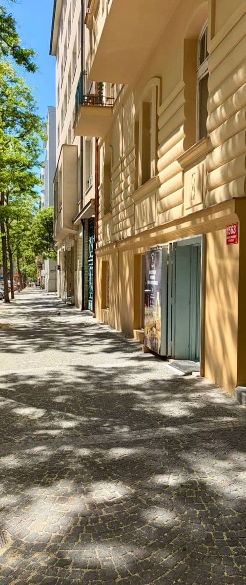 Prenájom nebytového priestoru 140 m², Mánesova, Praha, Praha Prenájom nebytového priestoru 140 m², Mánesova, Praha, Praha