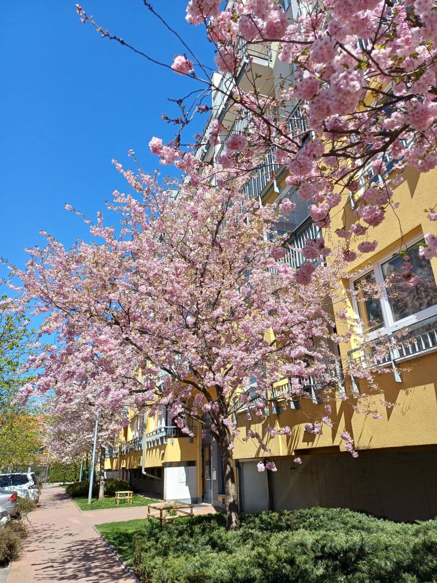 Prenájom bytu 2-izbový 52 m², Zakšínská, Praha, Praha Prenájom bytu 2-izbový 52 m², Zakšínská, Praha, Praha