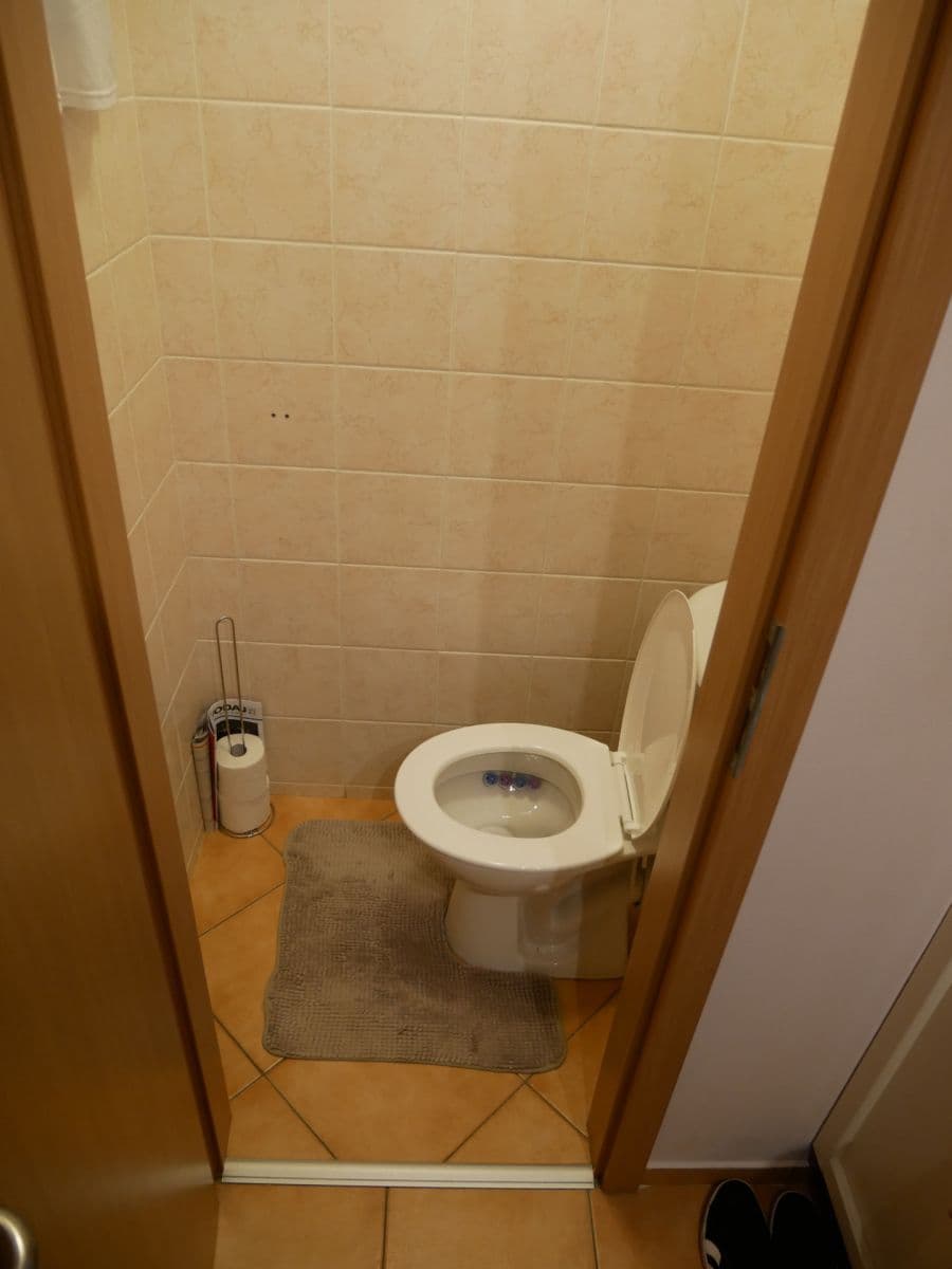 Prenájom bytu 2-izbový 57 m², Dukelská, Čelákovice, Středočeský kraj Prenájom bytu 2-izbový 57 m², Dukelská, Čelákovice, Středočeský kraj