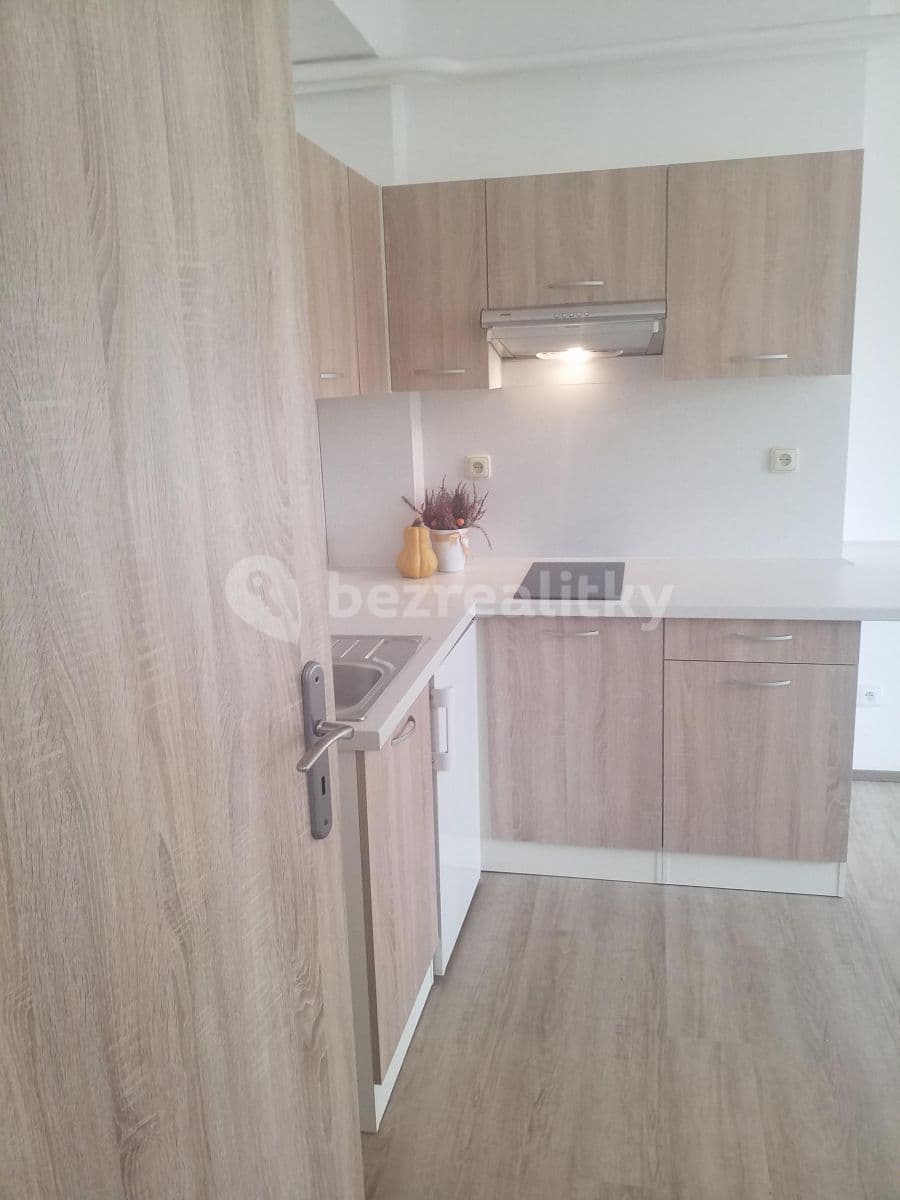 Prenájom bytu 1-izbový 25 m², Mlýnská, Brno, Jihomoravský kraj Prenájom bytu 1-izbový 25 m², Mlýnská, Brno, Jihomoravský kraj