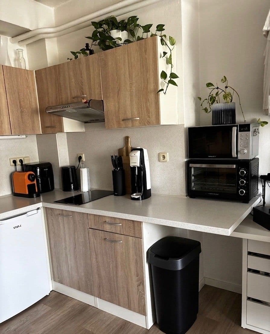 Prenájom bytu 1-izbový 25 m², Mlýnská, Brno, Jihomoravský kraj Prenájom bytu 1-izbový 25 m², Mlýnská, Brno, Jihomoravský kraj