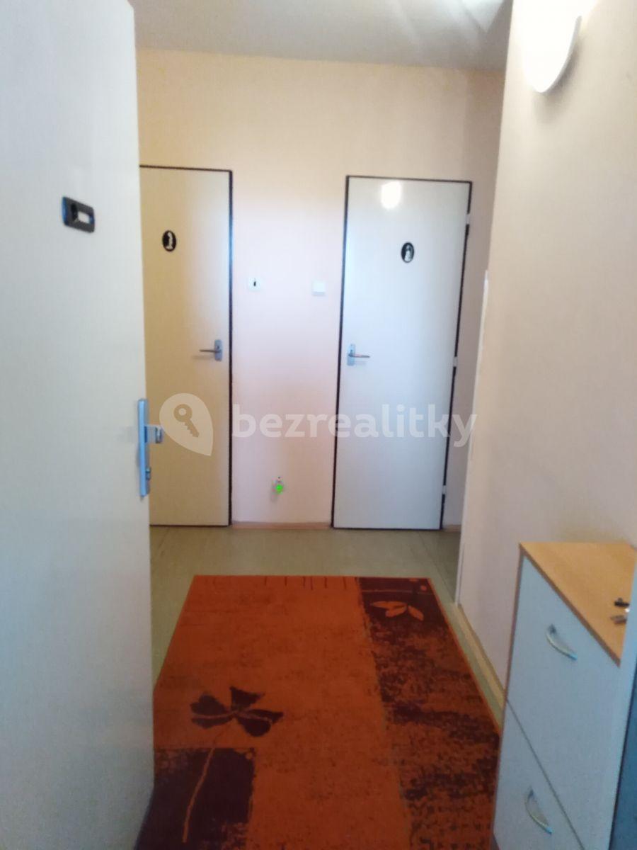 Prenájom bytu 1-izbový 40 m², Žernovská, Praha, Praha