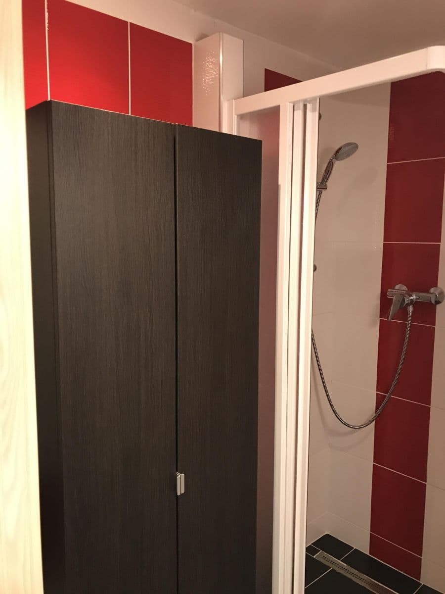 Prenájom bytu 4-izbový 75 m², Luhovská, Praha, Praha Prenájom bytu 4-izbový 75 m², Luhovská, Praha, Praha
