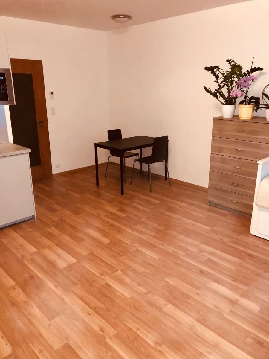Prenájom bytu 1-izbový 36 m², Rižská, Praha, Praha Prenájom bytu 1-izbový 36 m², Rižská, Praha, Praha