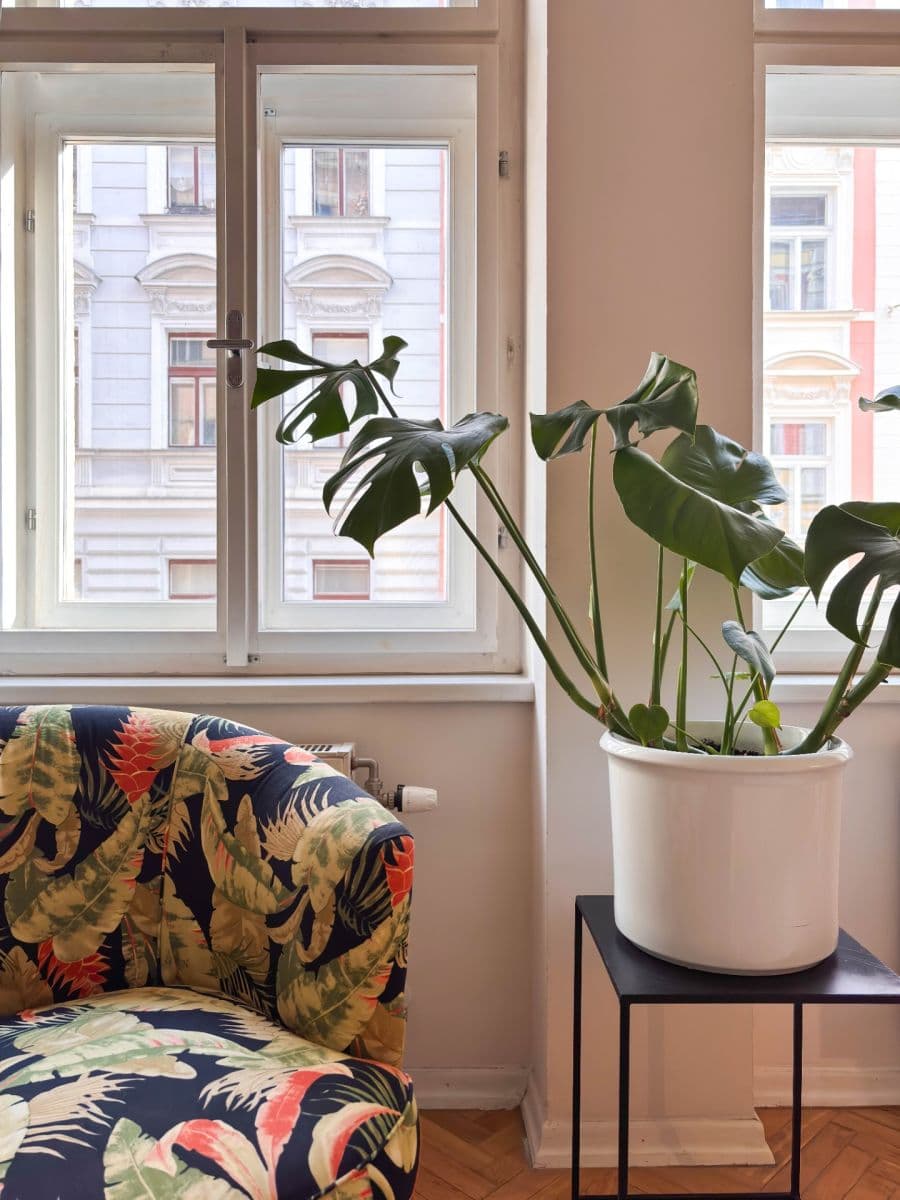 Prenájom bytu 2-izbový 68 m², Jana Masaryka, Praha, Praha Prenájom bytu 2-izbový 68 m², Jana Masaryka, Praha, Praha