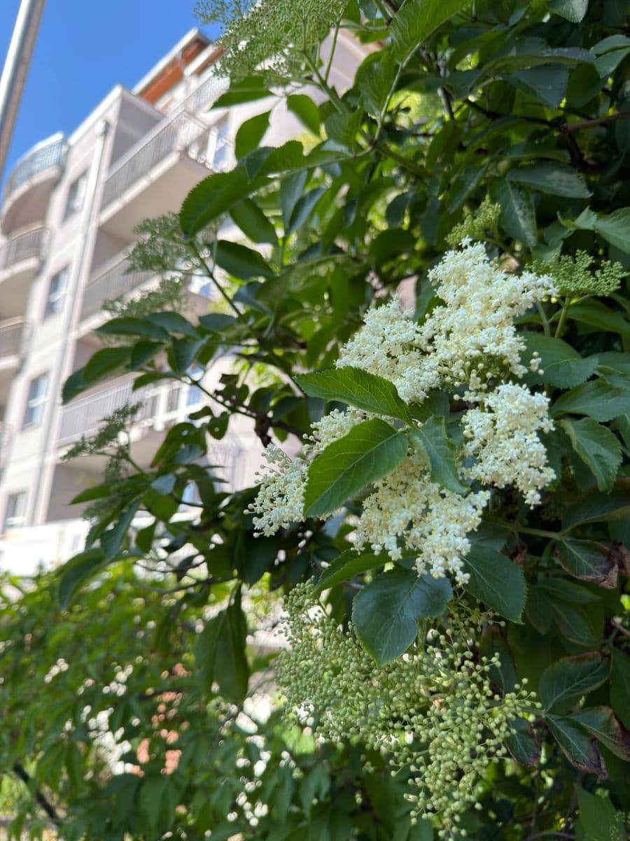 Predaj bytu 3-izbový 130 m², Škroupova, Karlovy Vary, Karlovarský kraj Predaj bytu 3-izbový 130 m², Škroupova, Karlovy Vary, Karlovarský kraj