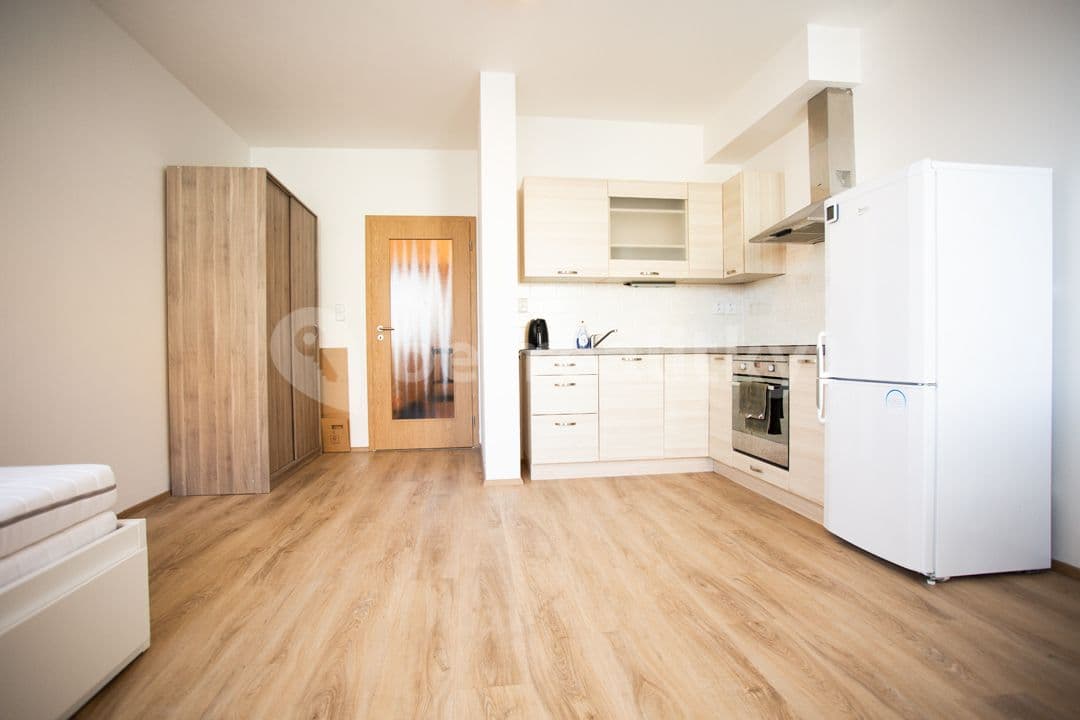 Prenájom bytu 1-izbový 35 m², Svitákova, Praha, Praha Prenájom bytu 1-izbový 35 m², Svitákova, Praha, Praha