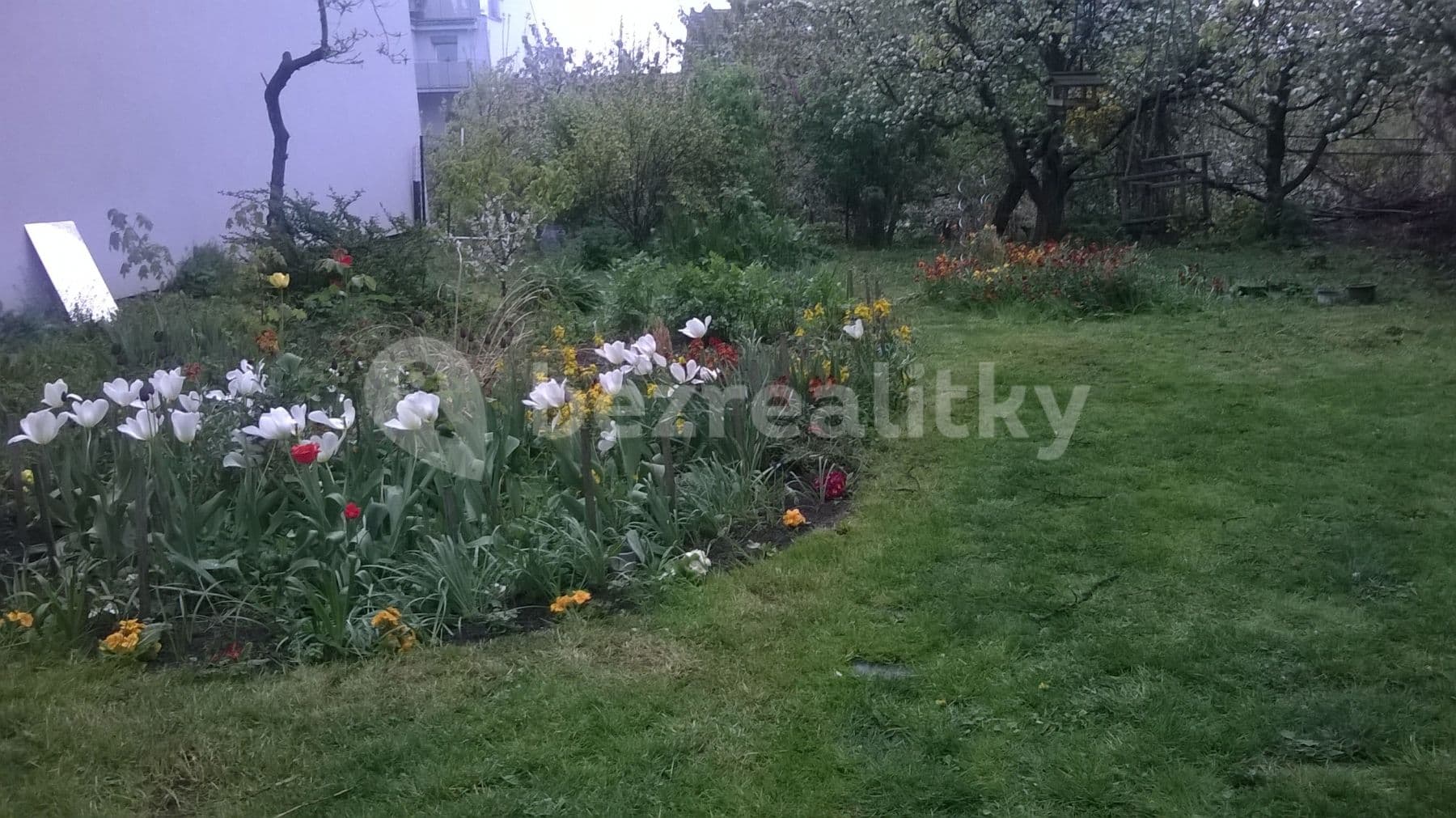 Prenájom bytu 1-izbový 32 m², Palackého Třída, Brno, Jihomoravský kraj Prenájom bytu 1-izbový 32 m², Palackého Třída, Brno, Jihomoravský kraj