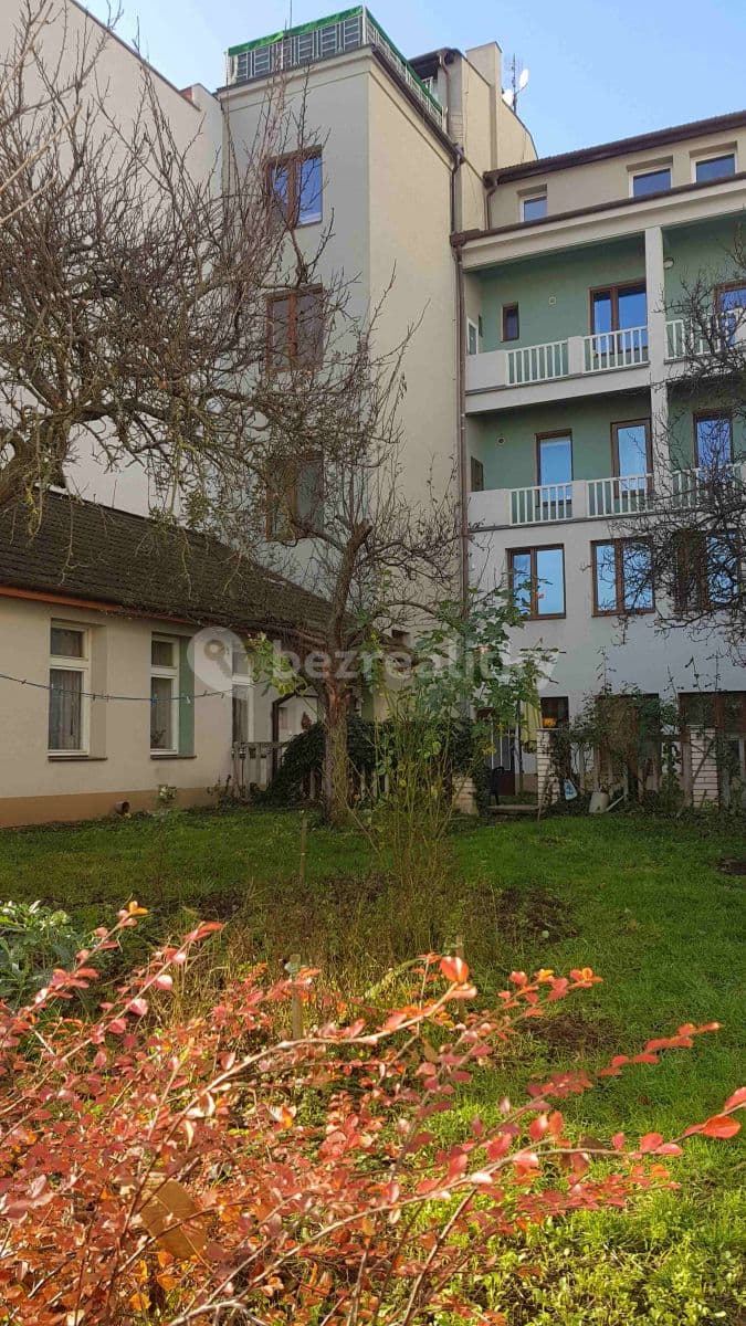 Prenájom bytu 1-izbový 32 m², Palackého Třída, Brno, Jihomoravský kraj Prenájom bytu 1-izbový 32 m², Palackého Třída, Brno, Jihomoravský kraj