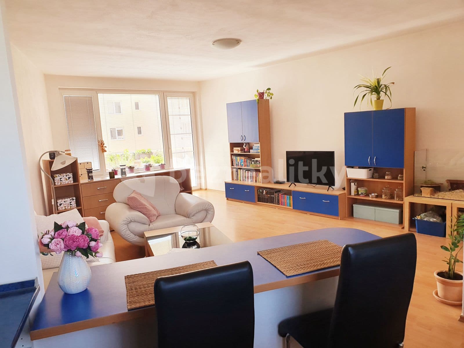 Prenájom bytu 2-izbový 83 m², Bělohorská, Brno, Jihomoravský kraj Prenájom bytu 2-izbový 83 m², Bělohorská, Brno, Jihomoravský kraj