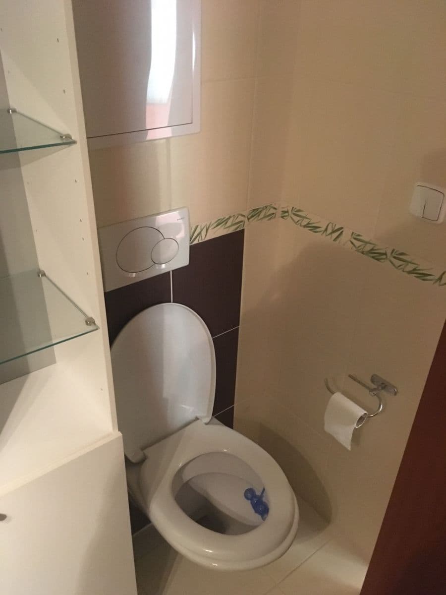 Prenájom bytu 1-izbový 33 m², Pod Lipami, Praha, Praha Prenájom bytu 1-izbový 33 m², Pod Lipami, Praha, Praha