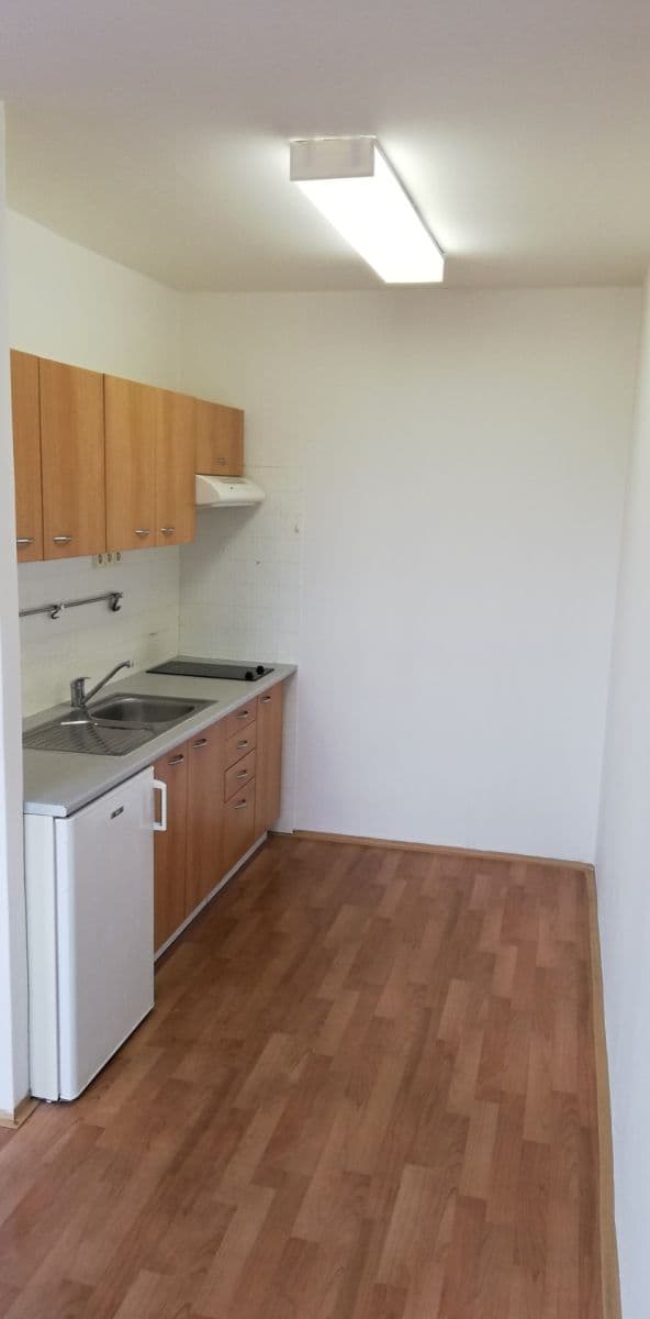 Prenájom bytu 1-izbový 36 m², Morseova, Praha, Praha Prenájom bytu 1-izbový 36 m², Morseova, Praha, Praha