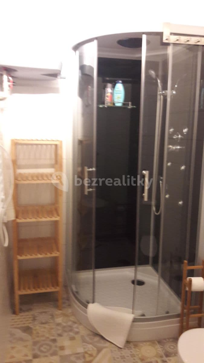 Prenájom bytu 1-izbový 40 m², Vodičkova, Praha, Praha Prenájom bytu 1-izbový 40 m², Vodičkova, Praha, Praha