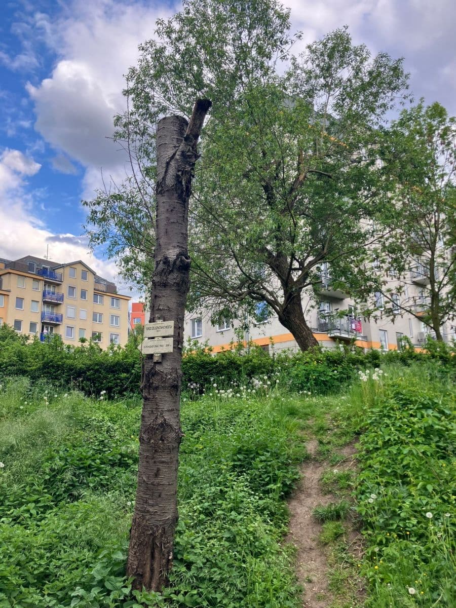 Prenájom bytu 2-izbový 55 m², Kovanecká, Praha, Praha Prenájom bytu 2-izbový 55 m², Kovanecká, Praha, Praha