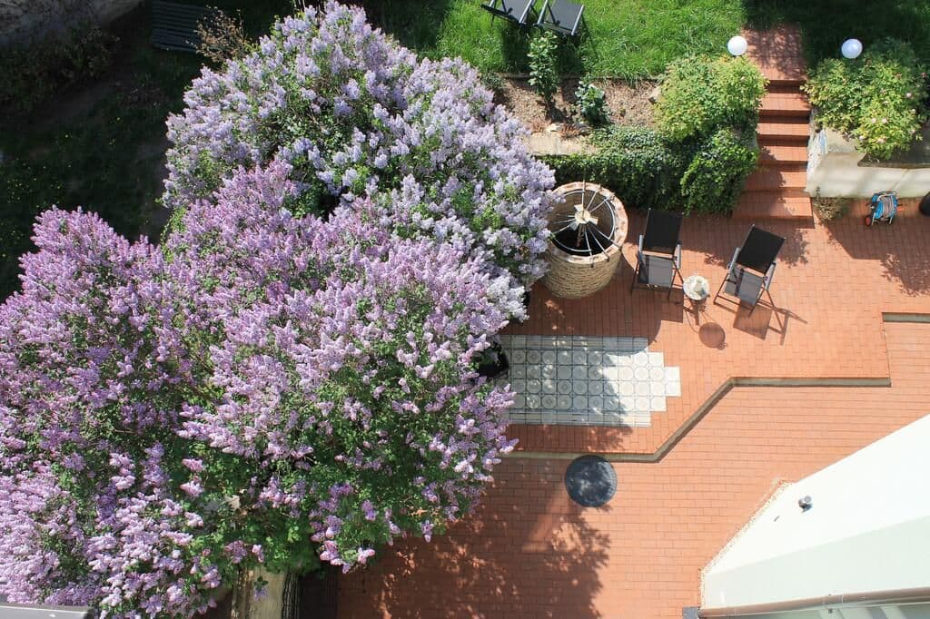 Prenájom bytu 1-izbový 46 m², Šlikova, Praha, Praha Prenájom bytu 1-izbový 46 m², Šlikova, Praha, Praha