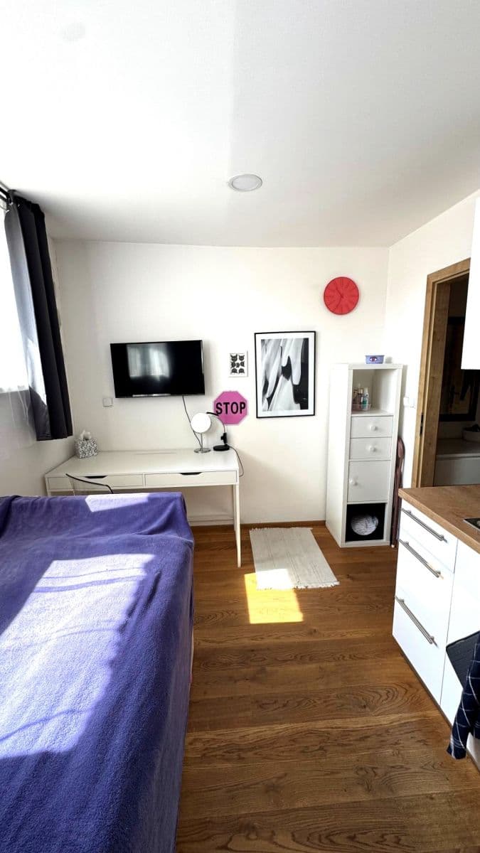 Prenájom bytu Garsoniéra 15 m², Moskevská, Praha, Praha Prenájom bytu Garsoniéra 15 m², Moskevská, Praha, Praha