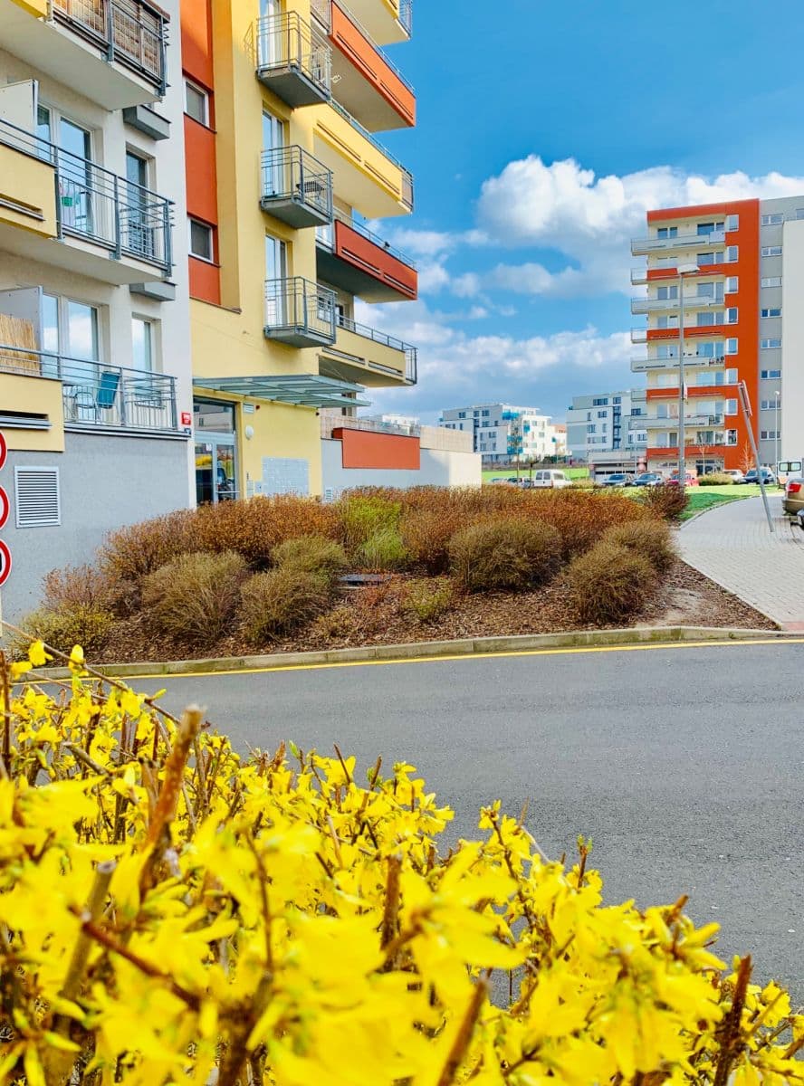 Prenájom bytu 3-izbový 60 m², Miroslava Hajna, Praha, Praha Prenájom bytu 3-izbový 60 m², Miroslava Hajna, Praha, Praha