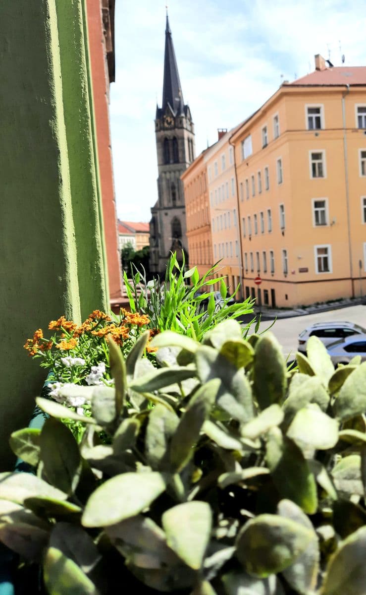 Prenájom bytu 1-izbový 27 m², Vlkova, Praha, Praha Prenájom bytu 1-izbový 27 m², Vlkova, Praha, Praha
