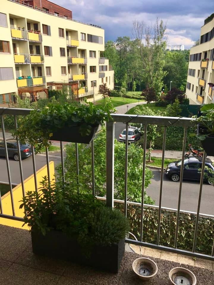 Prenájom bytu 1-izbový 50 m², Práčská, Praha, Praha Prenájom bytu 1-izbový 50 m², Práčská, Praha, Praha