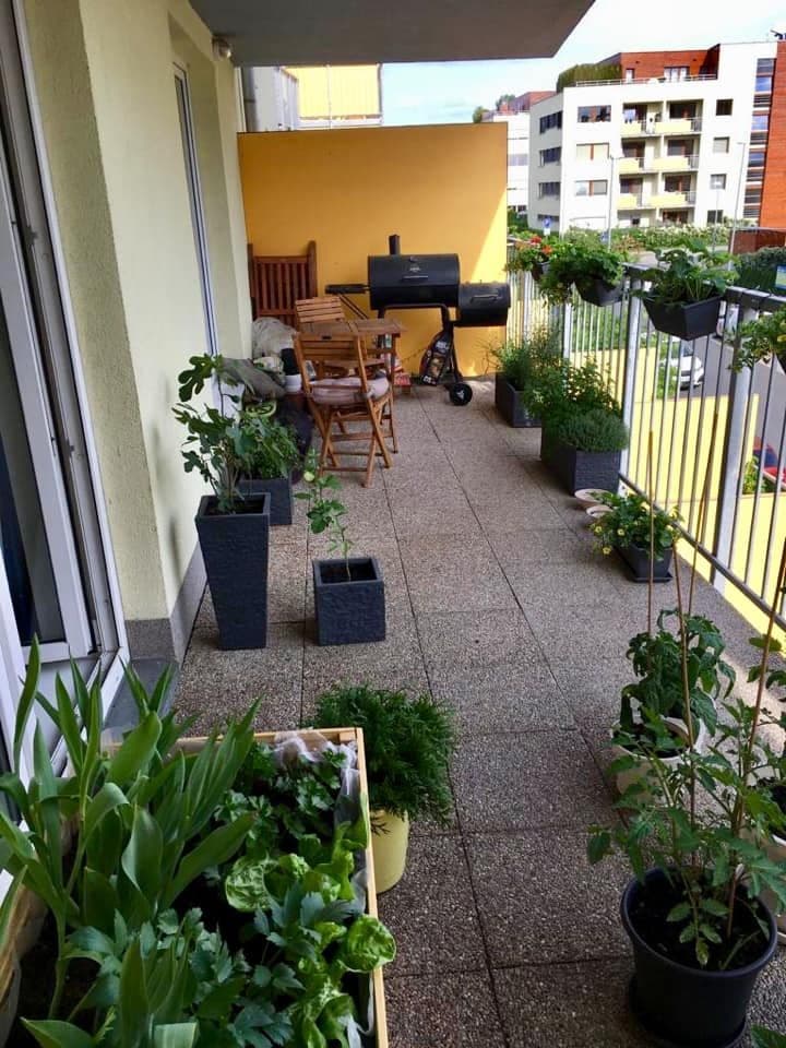 Prenájom bytu 1-izbový 50 m², Práčská, Praha, Praha Prenájom bytu 1-izbový 50 m², Práčská, Praha, Praha