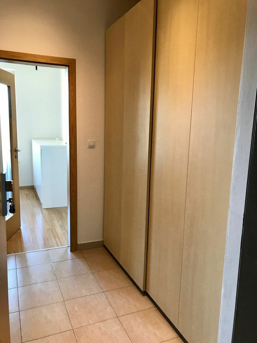 Prenájom bytu 1-izbový 50 m², Práčská, Praha, Praha Prenájom bytu 1-izbový 50 m², Práčská, Praha, Praha