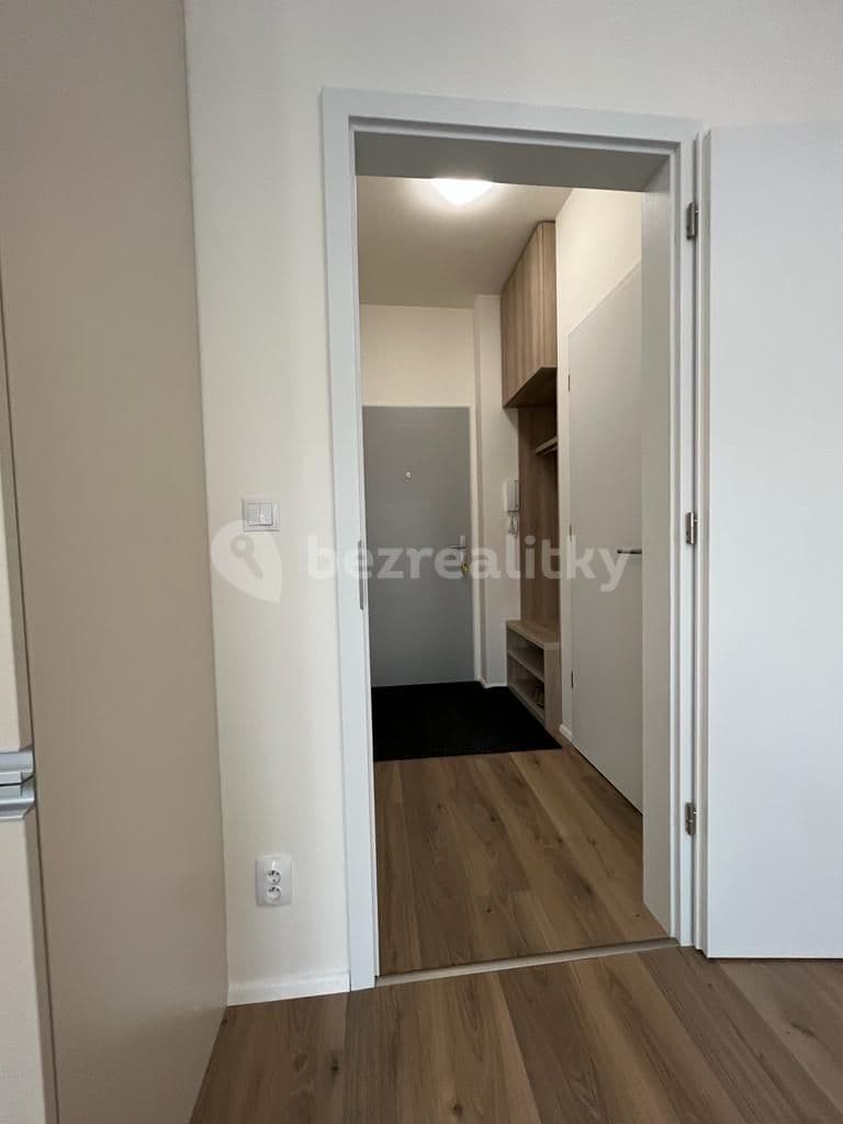 Prenájom bytu 1-izbový 31 m², Spolková, Brno, Jihomoravský kraj Prenájom bytu 1-izbový 31 m², Spolková, Brno, Jihomoravský kraj