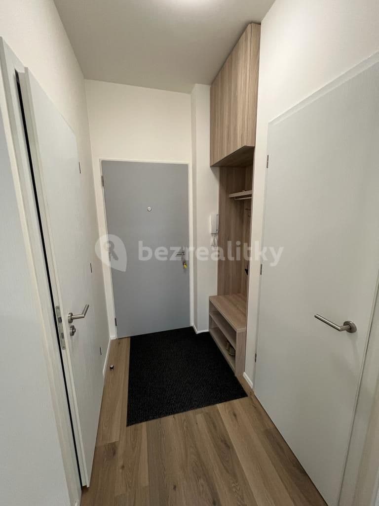 Prenájom bytu 1-izbový 31 m², Spolková, Brno, Jihomoravský kraj Prenájom bytu 1-izbový 31 m², Spolková, Brno, Jihomoravský kraj
