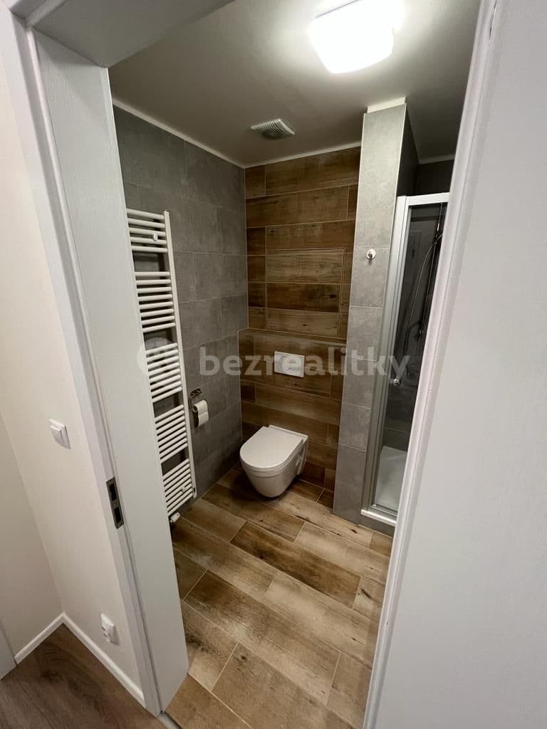 Prenájom bytu 1-izbový 31 m², Spolková, Brno, Jihomoravský kraj Prenájom bytu 1-izbový 31 m², Spolková, Brno, Jihomoravský kraj