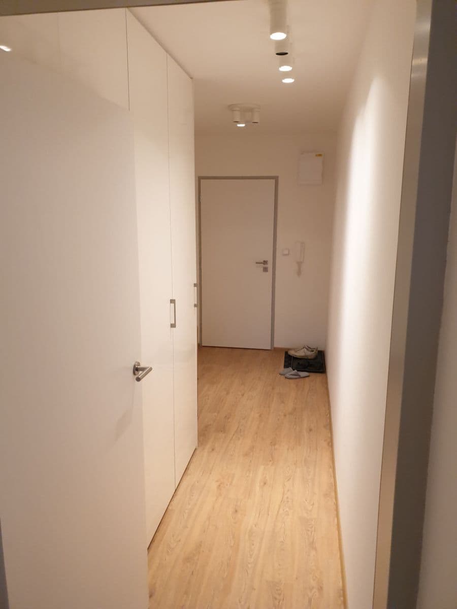 Prenájom bytu 2-izbový 50 m², Křenová, Brno, Jihomoravský kraj Prenájom bytu 2-izbový 50 m², Křenová, Brno, Jihomoravský kraj