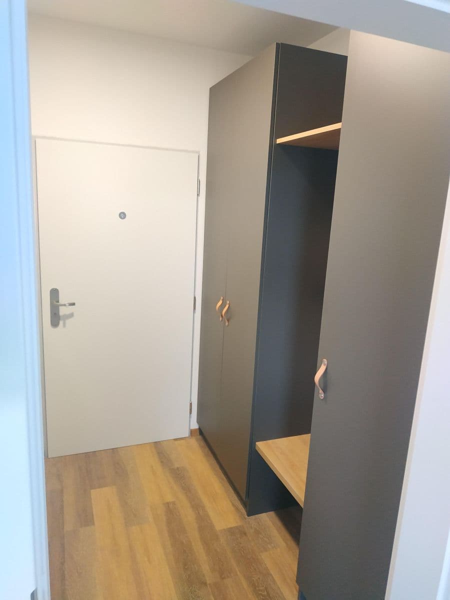 Prenájom bytu 1-izbový 30 m², Šantova, Olomouc, Olomoucký kraj Prenájom bytu 1-izbový 30 m², Šantova, Olomouc, Olomoucký kraj