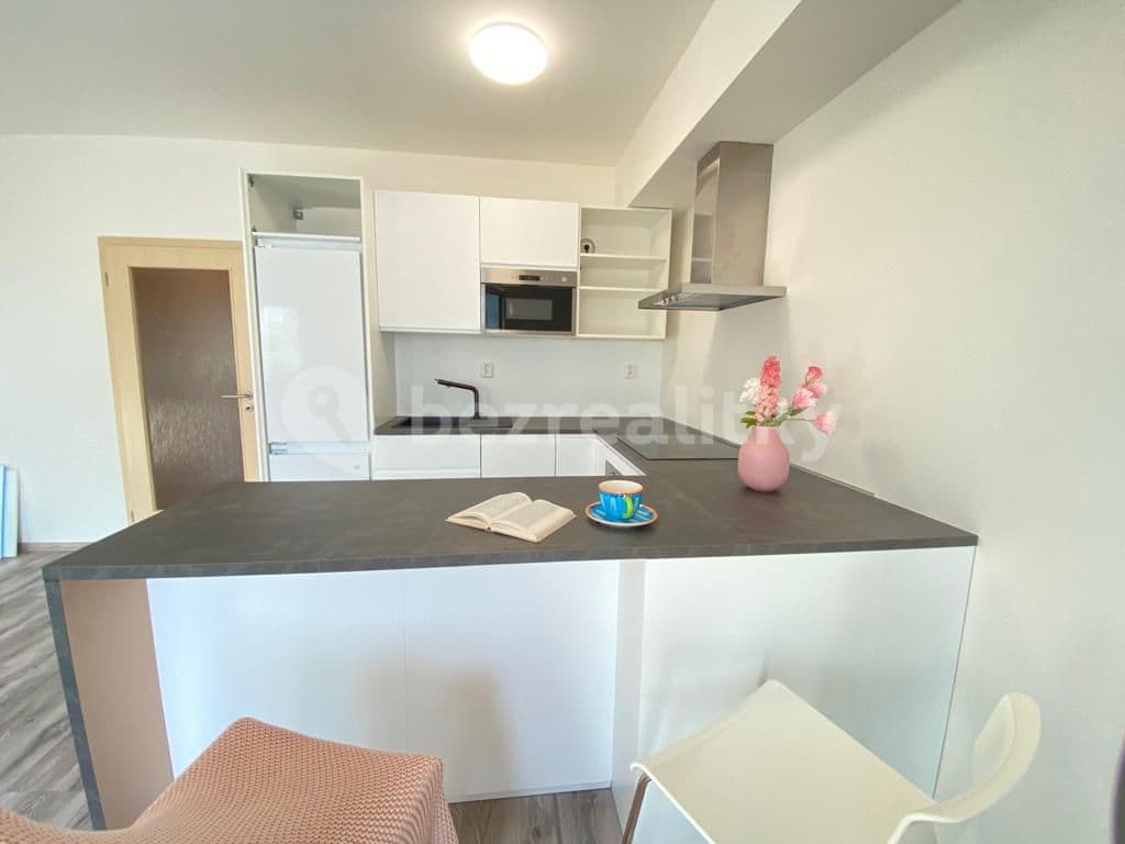 Prenájom bytu 1-izbový 35 m², Bratislavská, Praha, Praha Prenájom bytu 1-izbový 35 m², Bratislavská, Praha, Praha