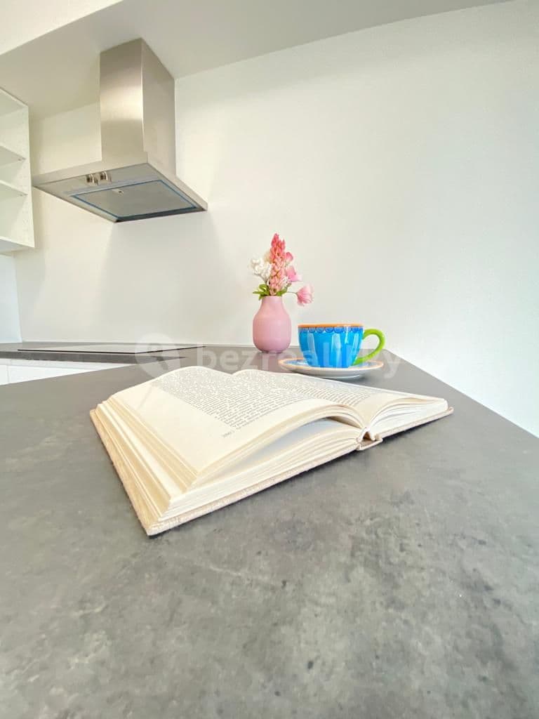 Prenájom bytu 1-izbový 35 m², Bratislavská, Praha, Praha Prenájom bytu 1-izbový 35 m², Bratislavská, Praha, Praha