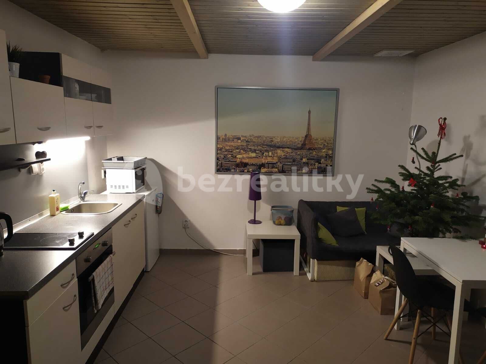 Prenájom bytu 1-izbový 30 m², Stará, Brno, Jihomoravský kraj Prenájom bytu 1-izbový 30 m², Stará, Brno, Jihomoravský kraj