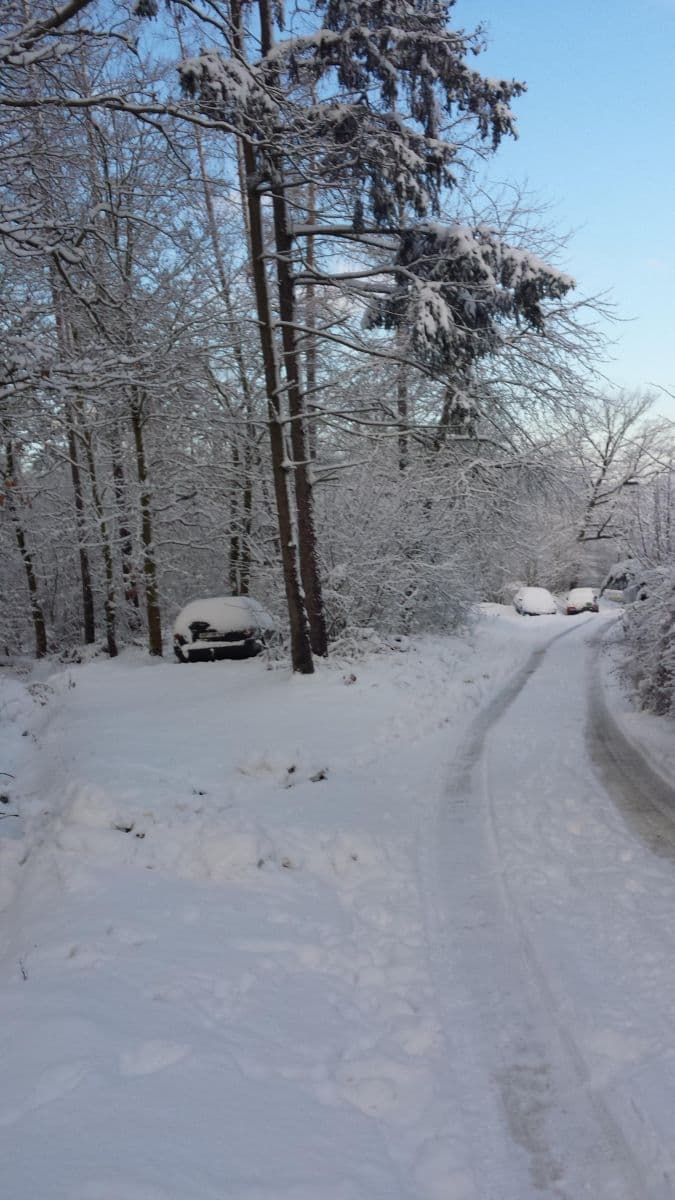 Prenájom rekreačného objektu 44 m², pozemek 250 m², K Údolí Hvězd, Praha, Praha Prenájom rekreačného objektu 44 m², pozemek 250 m², K Údolí Hvězd, Praha, Praha