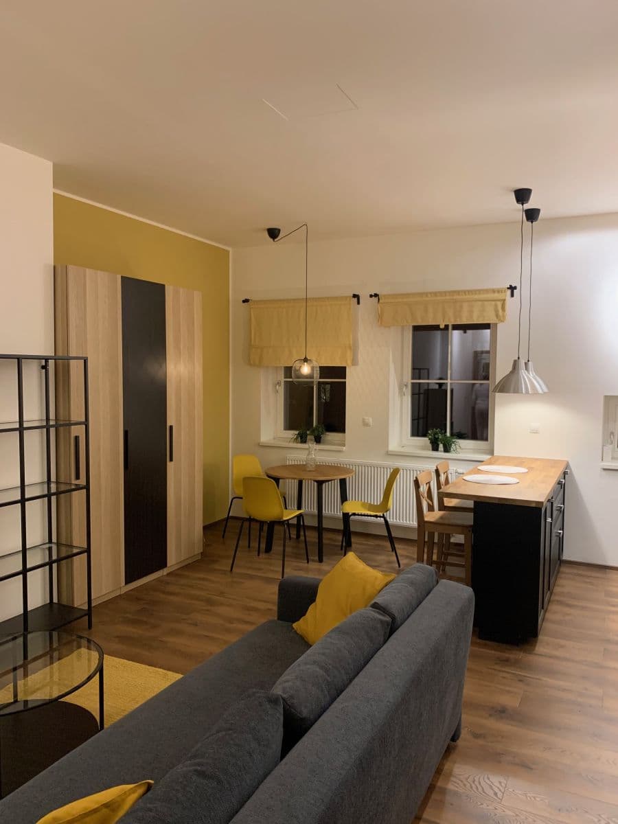 Prenájom bytu 1-izbový 45 m², Kotlářská, Brno, Jihomoravský kraj Prenájom bytu 1-izbový 45 m², Kotlářská, Brno, Jihomoravský kraj