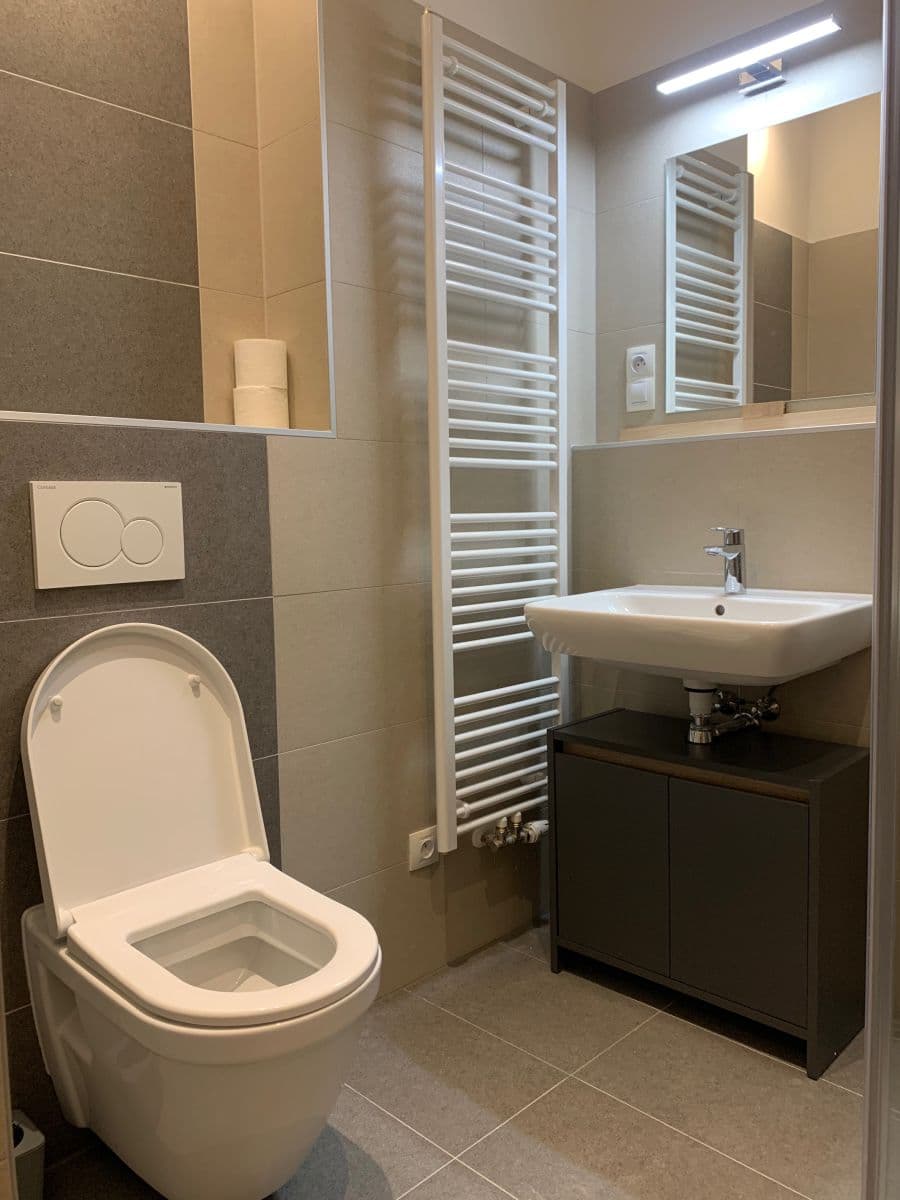 Prenájom bytu 1-izbový 45 m², Kotlářská, Brno, Jihomoravský kraj Prenájom bytu 1-izbový 45 m², Kotlářská, Brno, Jihomoravský kraj