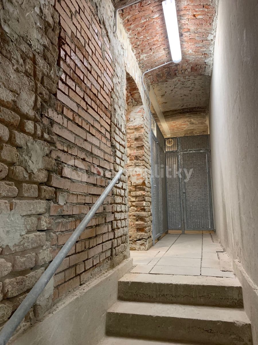 Prenájom bytu 1-izbový 49 m², Kotlářská, Brno, Jihomoravský kraj Prenájom bytu 1-izbový 49 m², Kotlářská, Brno, Jihomoravský kraj