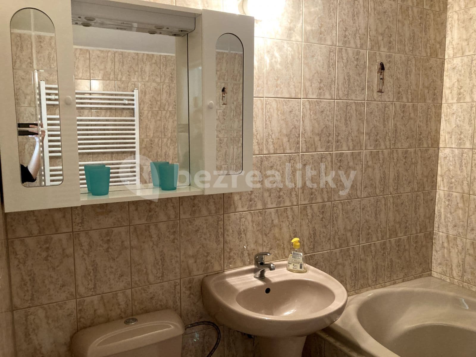 Prenájom bytu 1-izbový 20 m², U Křížku, Průhonice, Středočeský kraj Prenájom bytu 1-izbový 20 m², U Křížku, Průhonice, Středočeský kraj