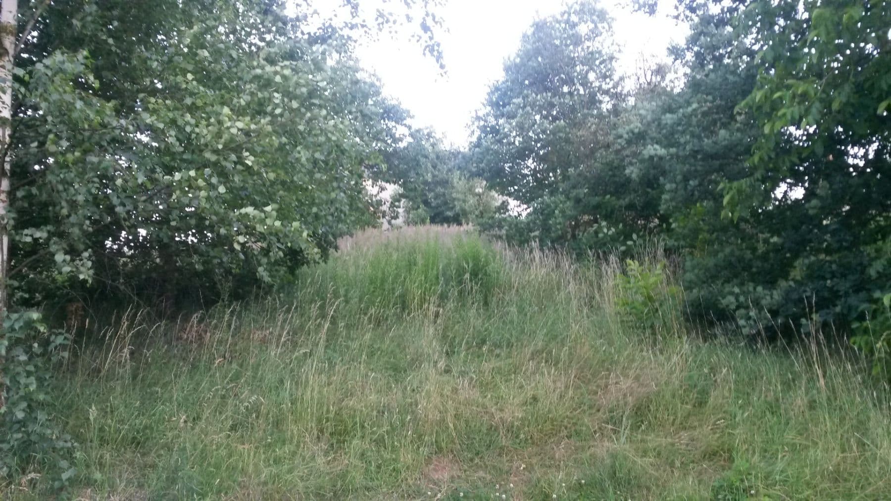 Predaj pozemku 1.171 m², Obecní, Březí, Středočeský kraj Predaj pozemku 1.171 m², Obecní, Březí, Středočeský kraj