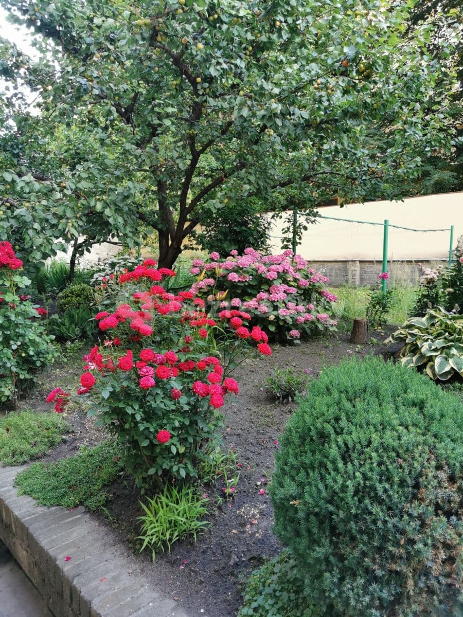 Prenájom bytu 2-izbový 50 m², Sokolovská, Praha, Praha Prenájom bytu 2-izbový 50 m², Sokolovská, Praha, Praha