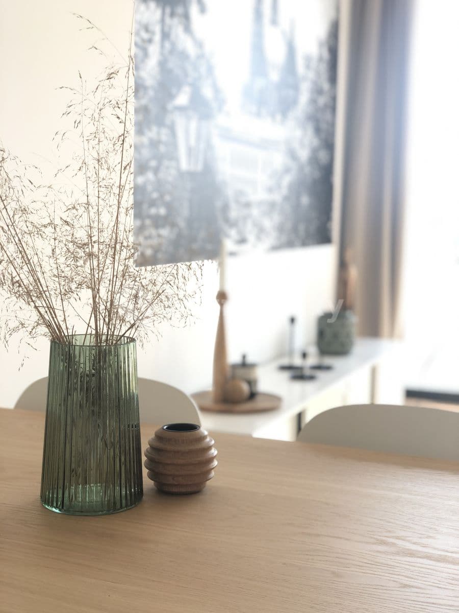 Prenájom bytu 1-izbový 35 m², Jeronýmova, Brno, Jihomoravský kraj Prenájom bytu 1-izbový 35 m², Jeronýmova, Brno, Jihomoravský kraj