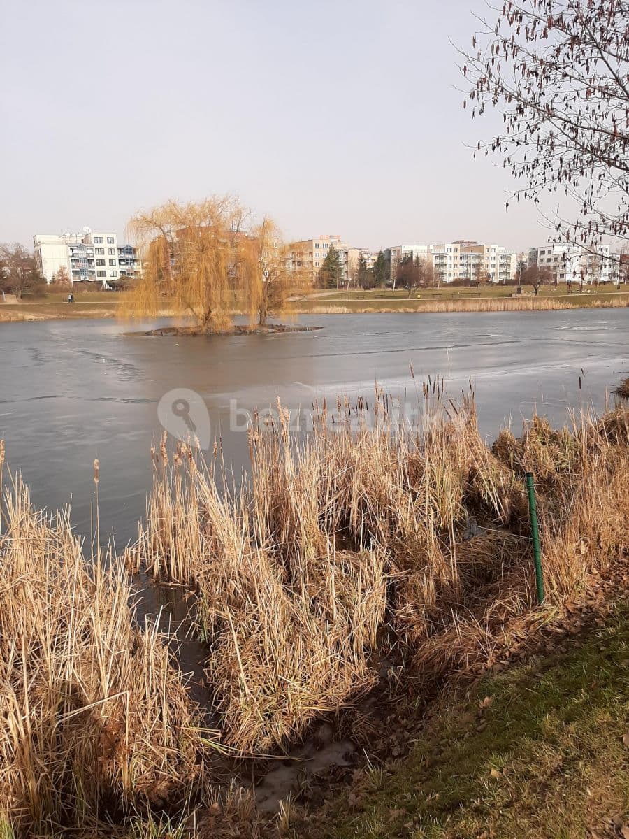 Prenájom bytu 2-izbový 43 m², Sezemínská, Praha, Praha Prenájom bytu 2-izbový 43 m², Sezemínská, Praha, Praha