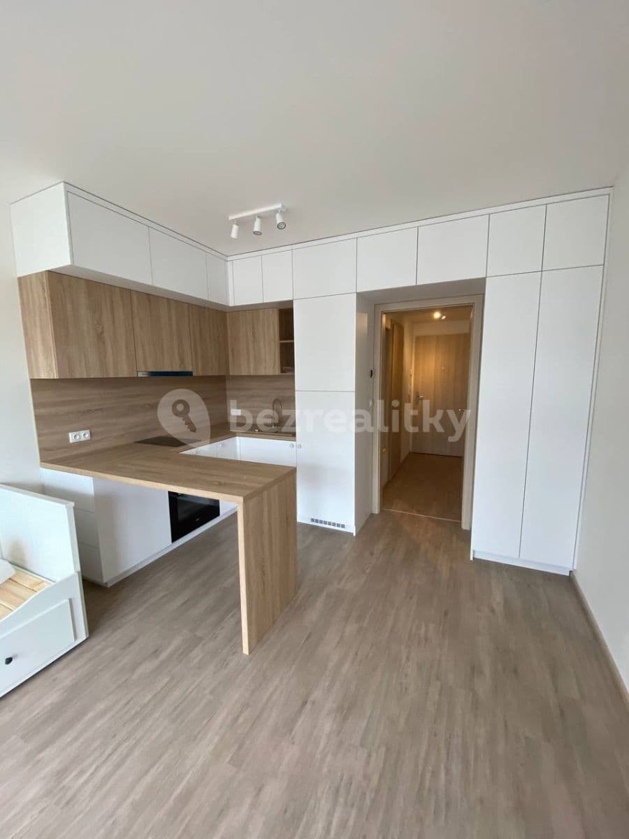 Prenájom bytu 1-izbový 30 m², Do Zahrádek Ⅰ, Praha, Praha Prenájom bytu 1-izbový 30 m², Do Zahrádek Ⅰ, Praha, Praha
