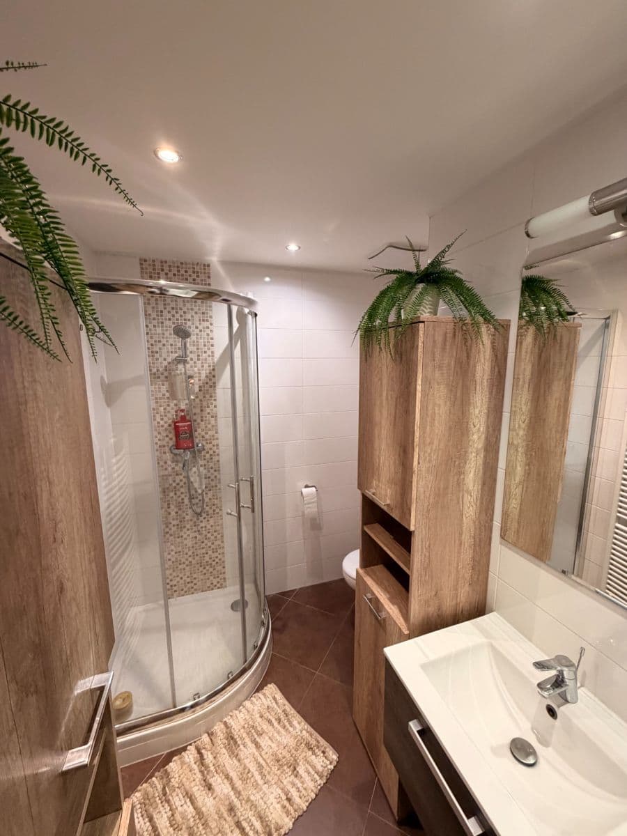 Prenájom bytu 2-izbový 48 m², Mantovská, Praha, Praha Prenájom bytu 2-izbový 48 m², Mantovská, Praha, Praha