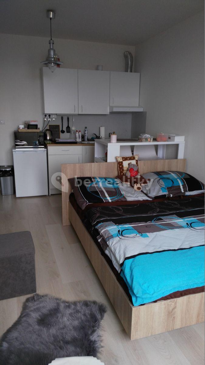 Prenájom bytu 1-izbový 29 m², Technická, Plzeň, Plzeňský kraj