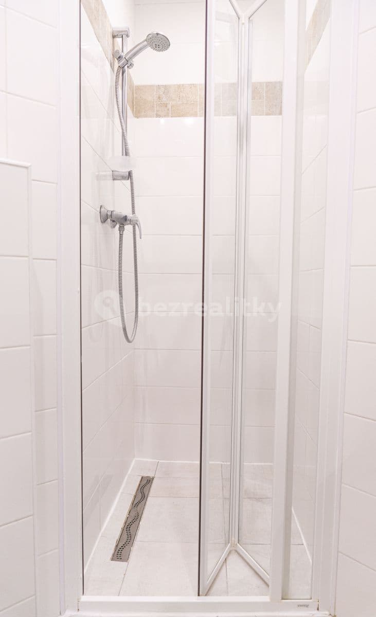 Prenájom bytu 1-izbový 30 m², Ruská, Praha, Praha Prenájom bytu 1-izbový 30 m², Ruská, Praha, Praha